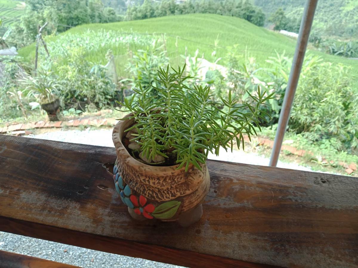 My'S Homestay Sapa Zewnętrze zdjęcie