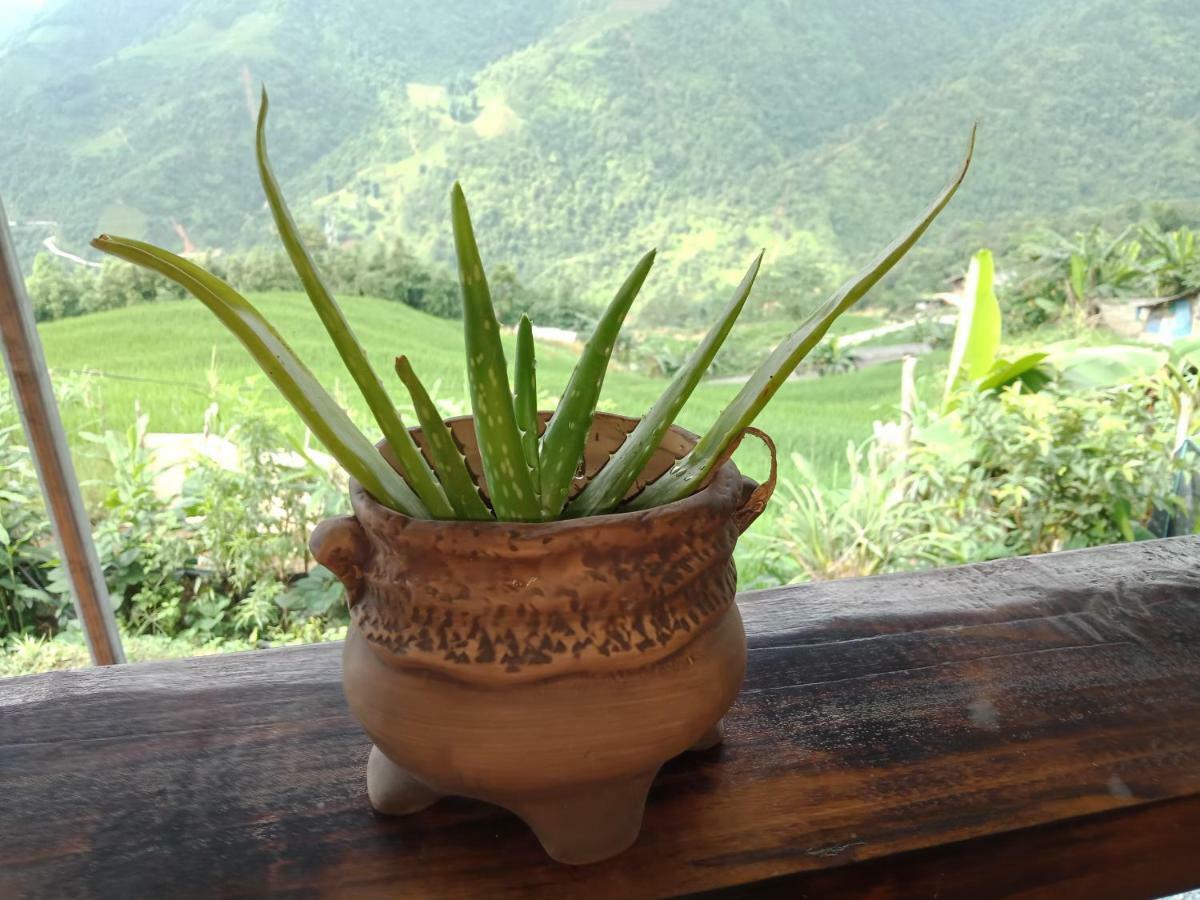 My'S Homestay Sapa Zewnętrze zdjęcie
